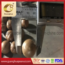 Best Quality Wholesale Price Macadamia Nuts with Big Kernel